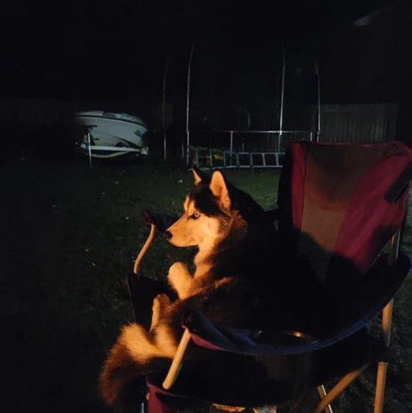 Meet your Posher, Gary - Picture 1 of 1